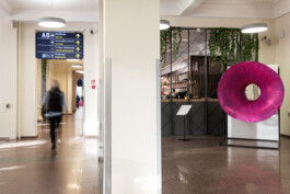 Raimonda Sereikaitė - Kiziria