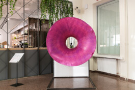 Raimonda Sereikaitė - Kiziria