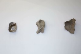 Raimonda Sereikaitė - Kiziria