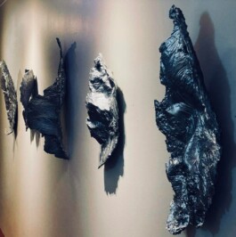 Raimonda Sereikaitė - Kiziria