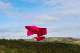 Raimonda Sereikaitė - Kiziria