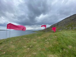 Raimonda Sereikaitė - Kiziria