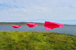 Raimonda Sereikaitė - Kiziria