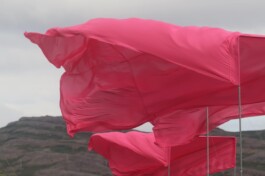 Raimonda Sereikaitė - Kiziria