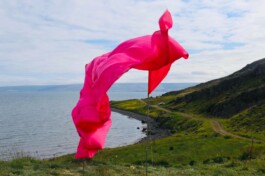 Raimonda Sereikaitė - Kiziria