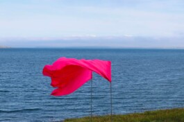 Raimonda Sereikaitė - Kiziria