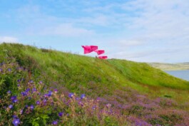 Raimonda Sereikaitė - Kiziria