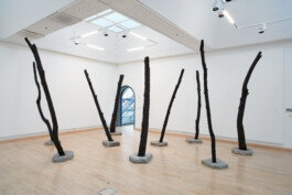 Raimonda Sereikaitė - Kiziria