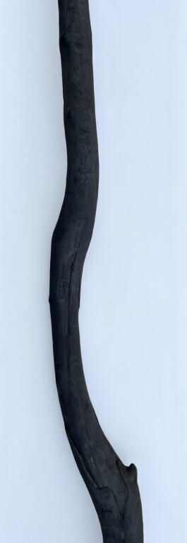 Raimonda Sereikaitė - Kiziria