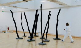 Raimonda Sereikaitė - Kiziria