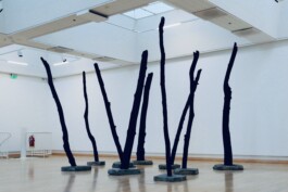 Raimonda Sereikaitė - Kiziria