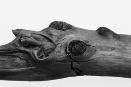 Raimonda Sereikaitė - Kiziria