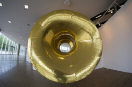 Raimonda Sereikaitė - Kiziria