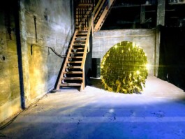 Raimonda Sereikaitė - Kiziria